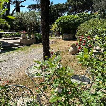 Magnifique Studio Tropezien A 300 M De La Plage سان تروبيه المظهر الخارجي الصورة