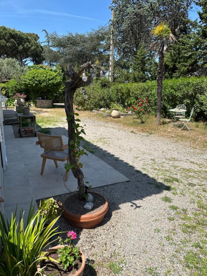 Magnifique Studio Tropezien A 300 M De La Plage سان تروبيه المظهر الخارجي الصورة