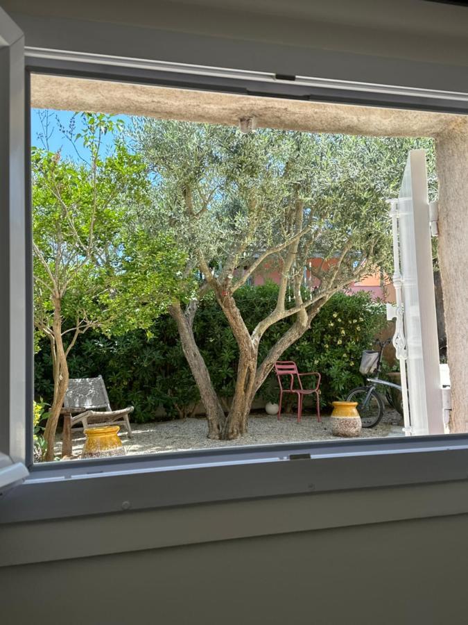 Magnifique Studio Tropezien A 300 M De La Plage سان تروبيه المظهر الخارجي الصورة